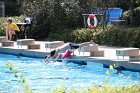 Camp 2011 (2301)